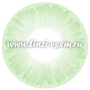 Цветные линзы EOS Dorie Green mini